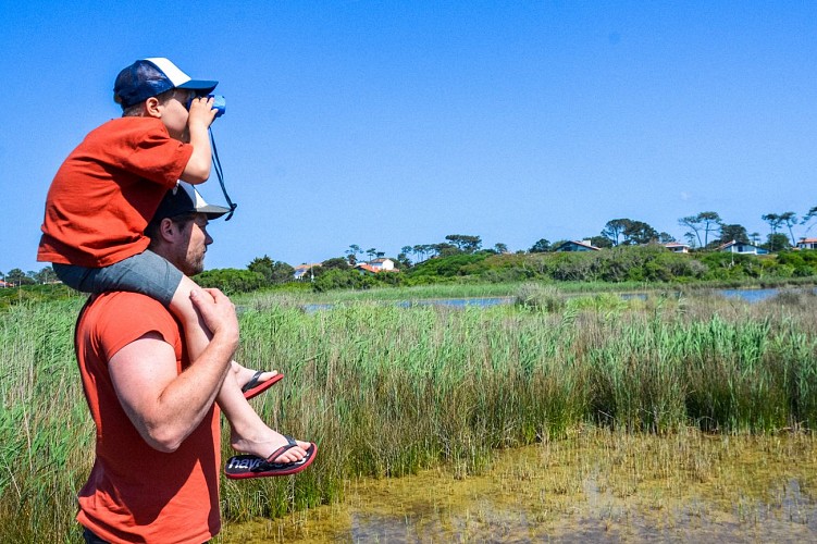 Parc-Izadia-Anglet_Dario-Tonini-01