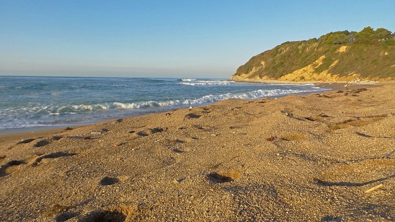 2015 12 10 Erromardie Yoni (5)