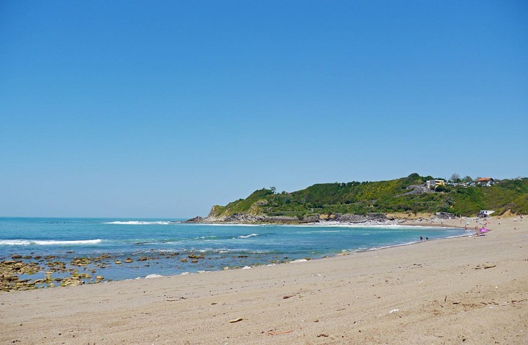 Plage de Laffitenia saint jean de luz - Yoni