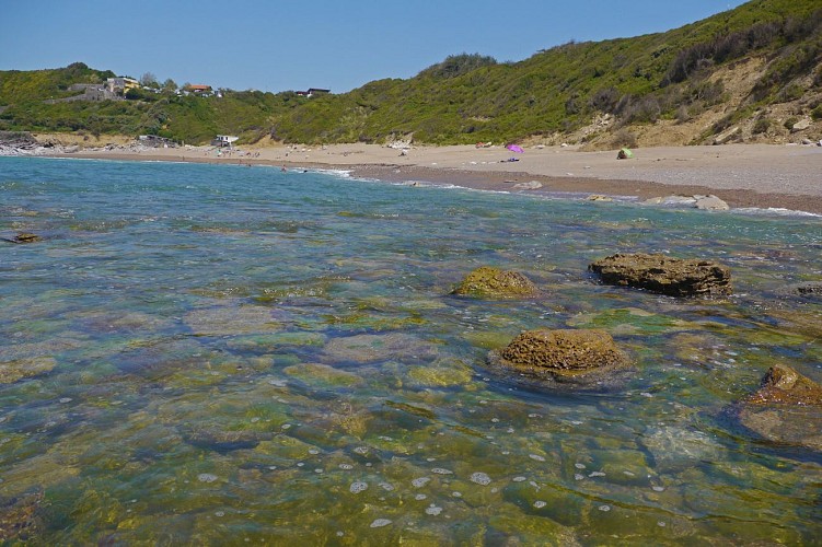 plage de laffitenia saint jean de luz - Yoni (2)
