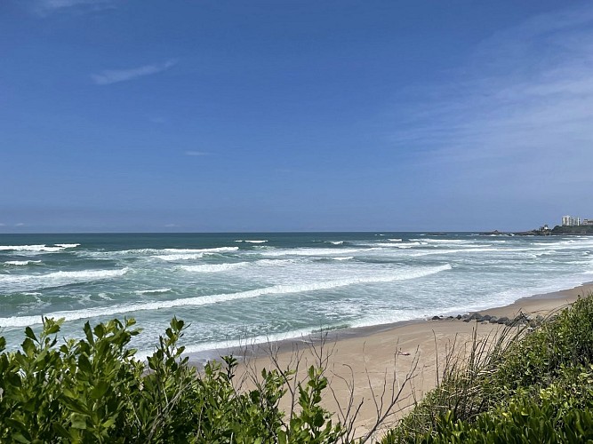 Plage de la Milady - Biarritz - Vue (4)