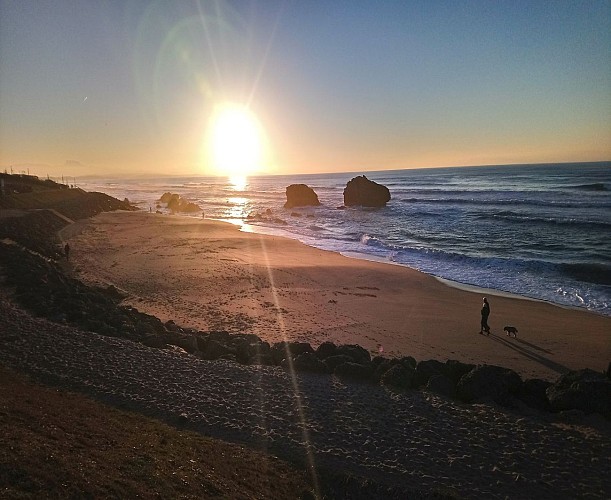 Plage de la Milady - Biarritz - Vue