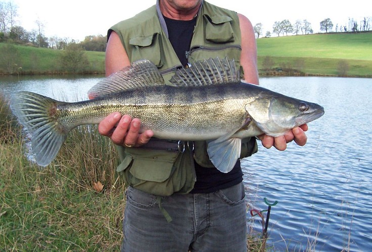 Lac Harrieta - pêcheur - Saint Jean le Vieux