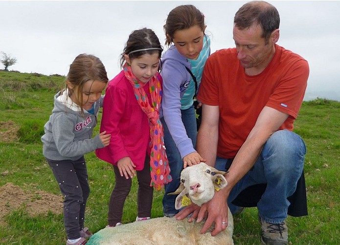 Balade avec un berger Ferme Peotenia - famille enfants