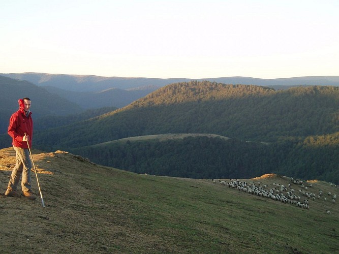 Balade avec un berger Ferme Peotenia - vue montagne basque