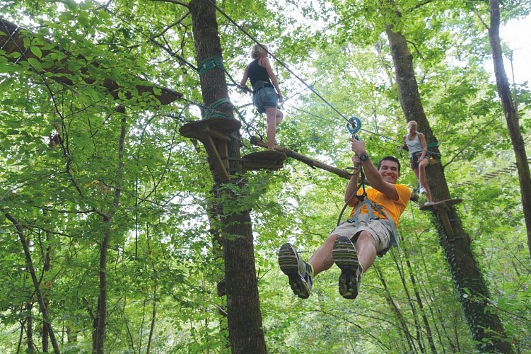 zip line experience in the forest