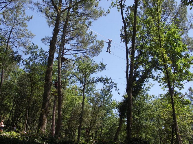 La Forêt des Ecureuils