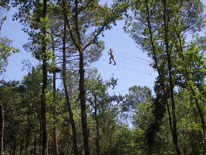 La Forêt des Ecureuils