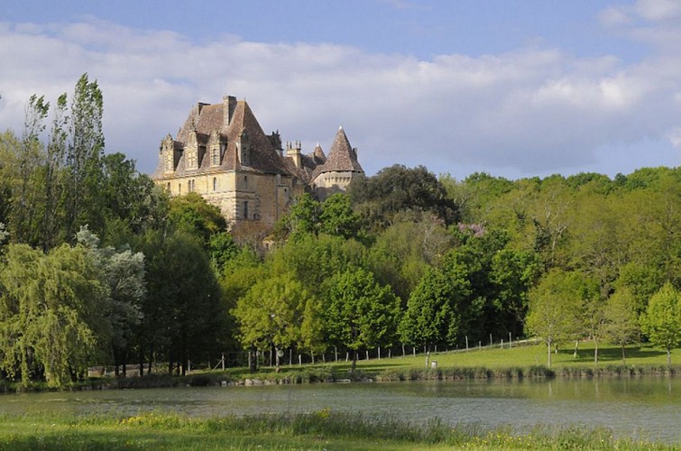 Chateau-de-Lanquais-8
