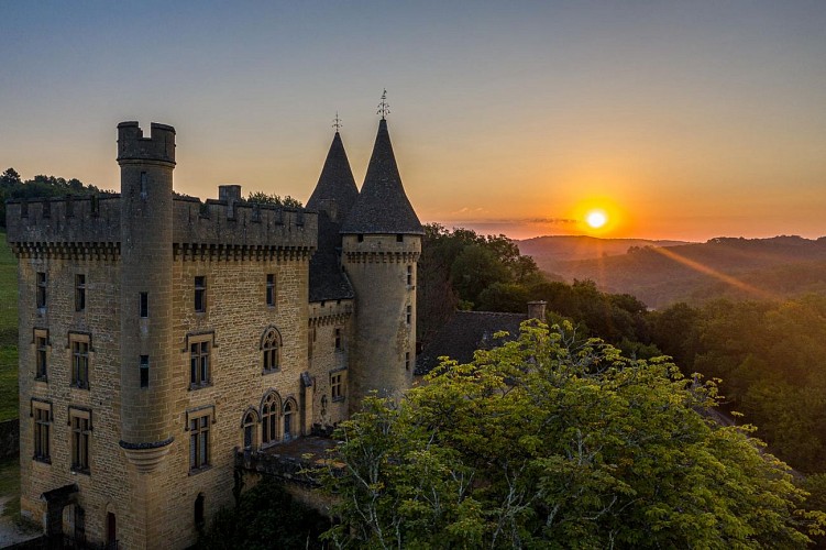 Château de Puymartin1