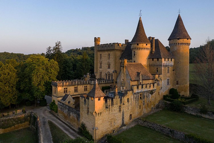 Château de Puymartin3