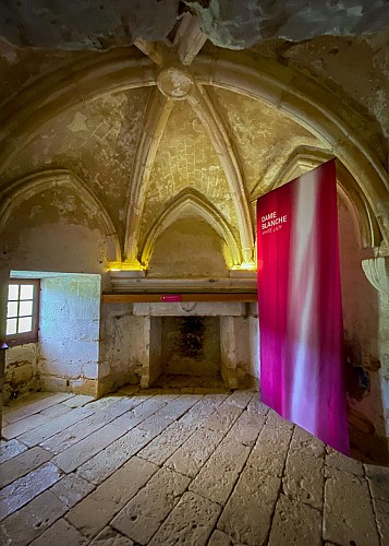 Château de Puymartin6