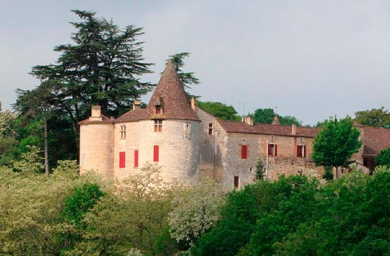Château de St Germain