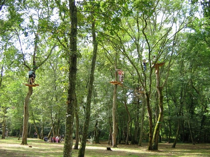 Au Fil du Ciron - Parcours 4 (Copier)