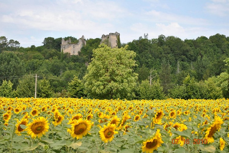 Saint Pierre de Côle Bruzac