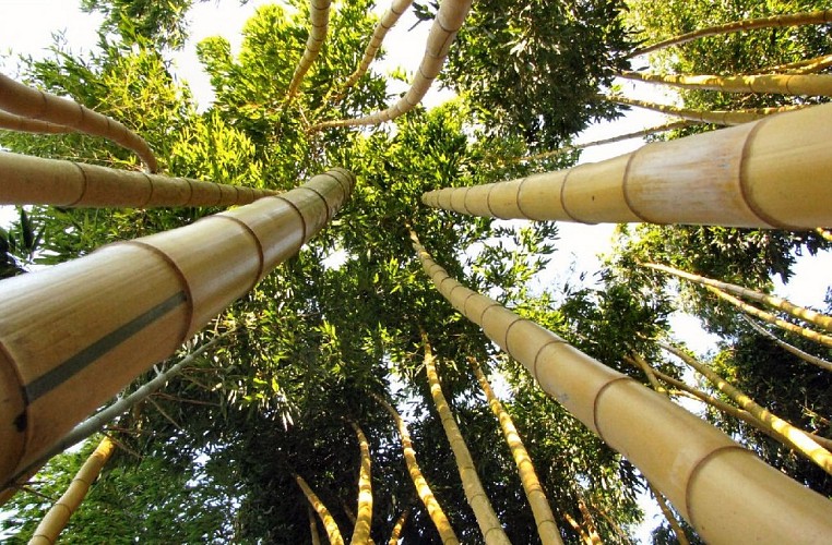 3-Jardin-de-PLANBUISSON-3