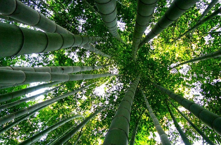 4-Jardin-de-PLANBUISSON-2