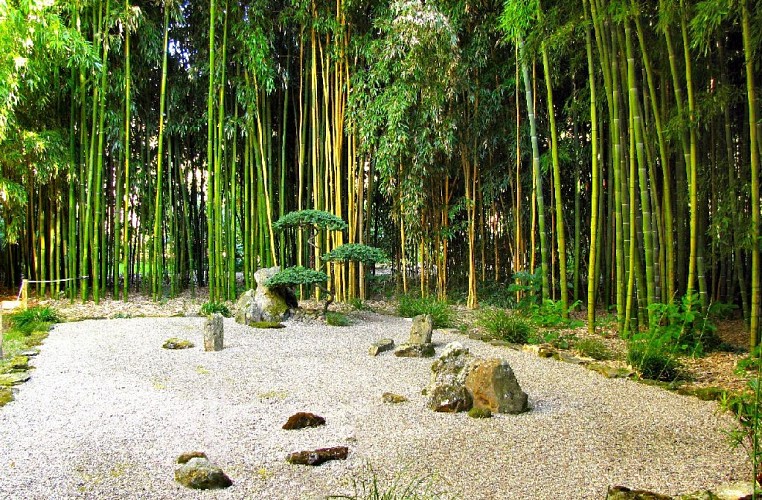 5-Jardin-de-PLANBUISSON