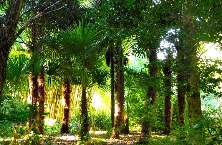 7-Jardin-de-PLANBUISSON