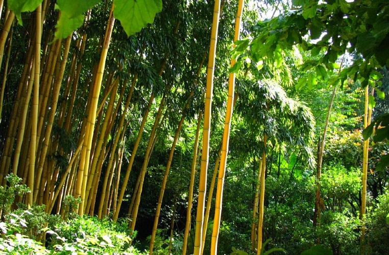 8-Jardin-de-PLANBUISSON-2