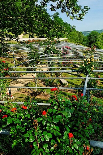 roseraie jardins imaginaire 2