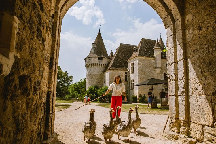 4.Loic Malzarey - cour du château médiéval - oie du Périgord