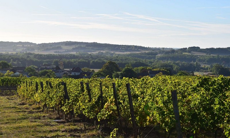 autour_issigeac-clos_le_joncal (4)-2