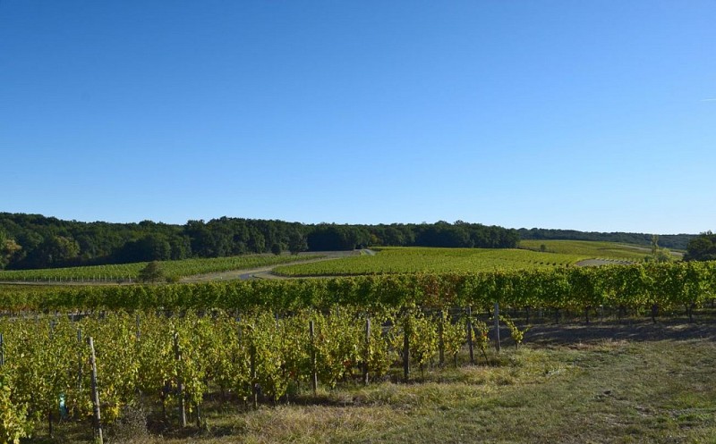 autour_issigeac-clos_le_joncal (57)-2