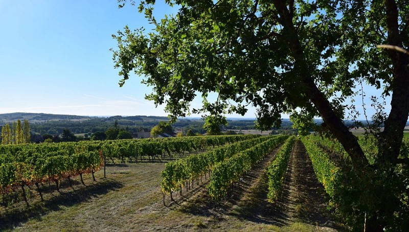 autour_issigeac-clos_le_joncal (92)-2