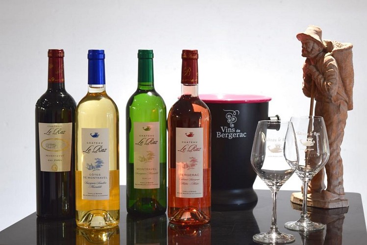 autour_velines-chateau_le_raz (105)-2