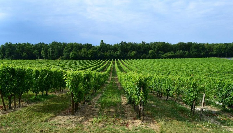 autour_velines-chateau_le_raz (12)-2