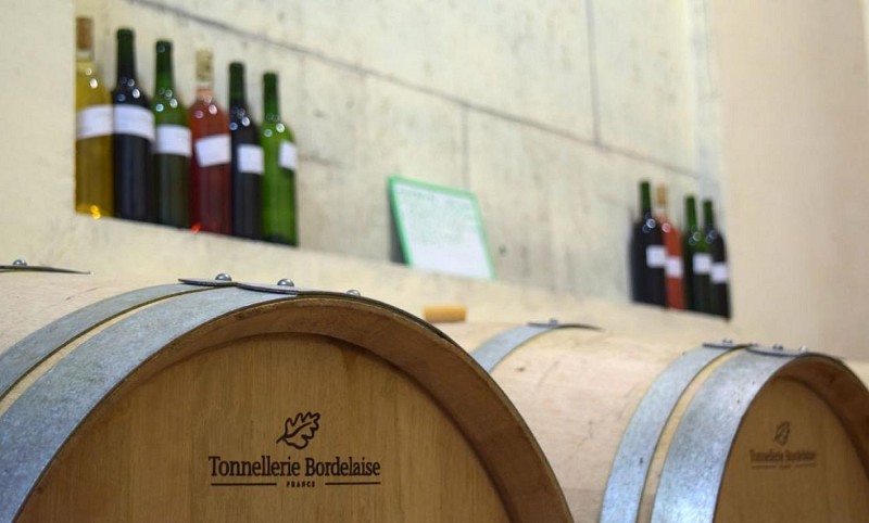 autour_velines-chateau_le_raz (80)-2