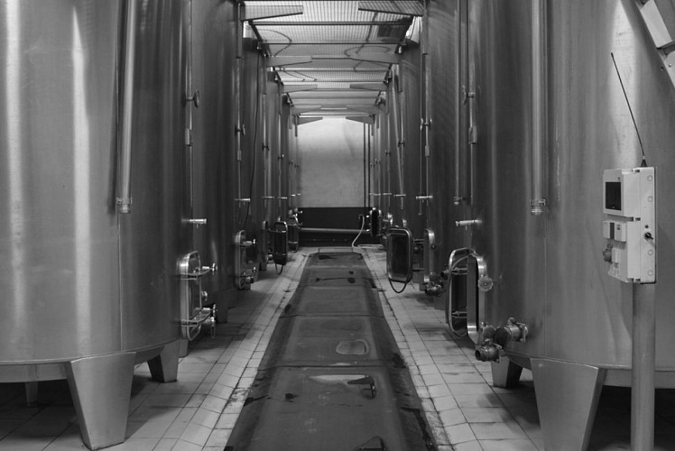 autour_velines-chateau_le_raz (88)-2