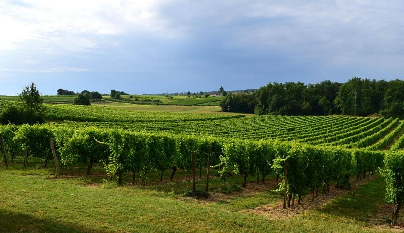 autour_velines-chateau_le_raz (17)-2