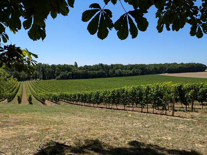 chateau le raz 