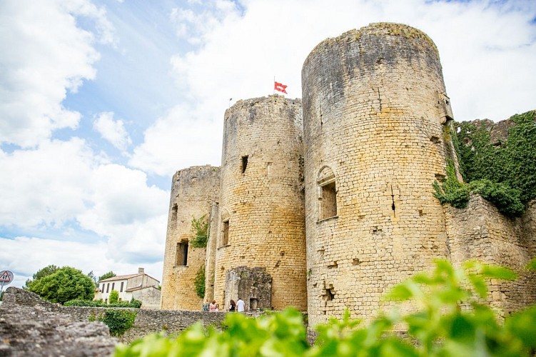 Château de Villandraut - SUD-GIRONDE - Villandraut