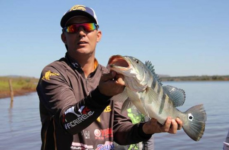 tucunare-1344070-1920-554x363