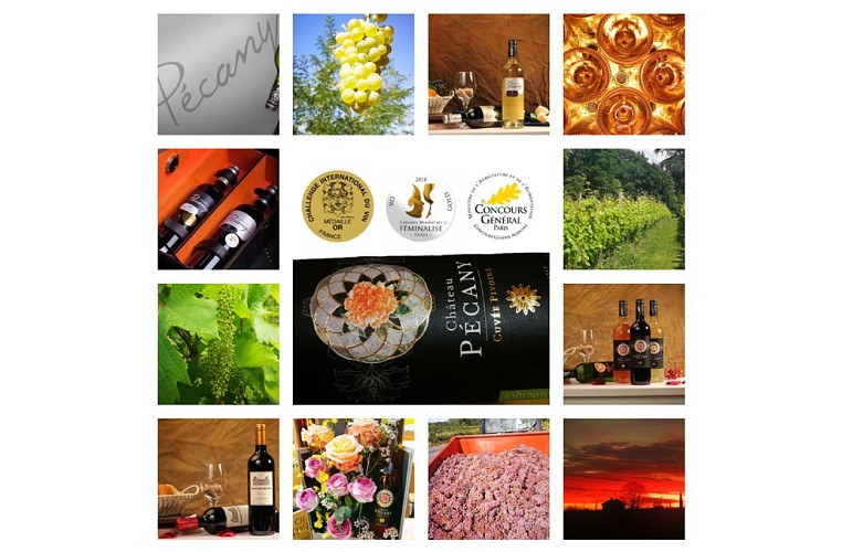 poster vins pecany_sirtaqui