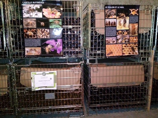 chateau-pecany©beigner (4)