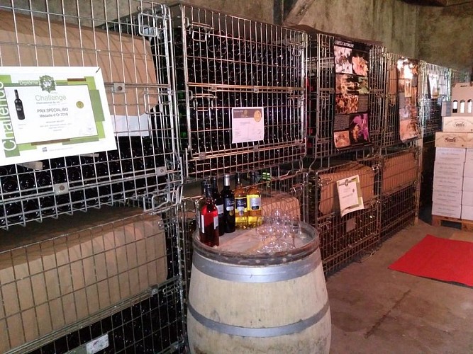 chateau-pecany©beigner (3)