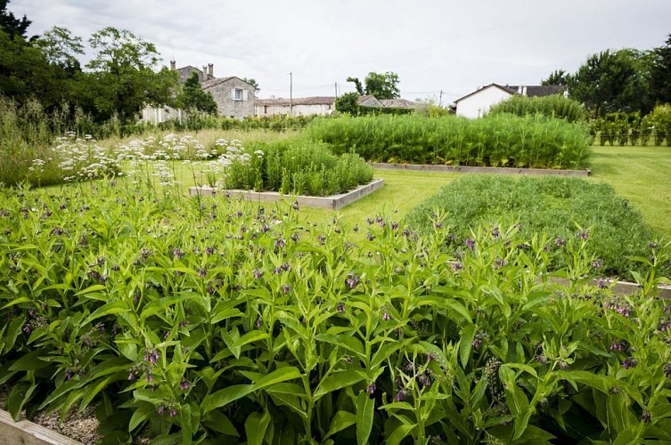 chateau_monestier_la-tour_Le jardin