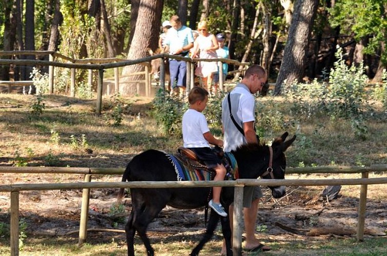 Balade à dos d'Âne