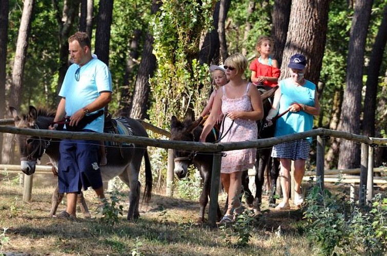 Balade à dos d'Âne