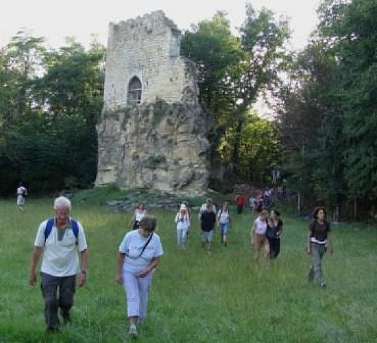 vieux chateau Roquefort