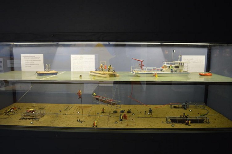 musee-du-lac-de-sanguinet5