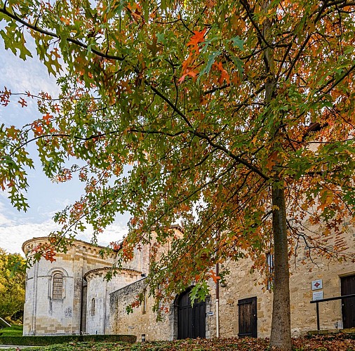Abbaye-Arthous-Photo-BLAZQUEZ
