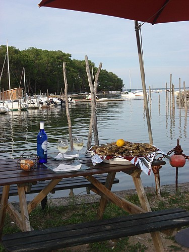 Les_Parcs_du_Noroit (1)