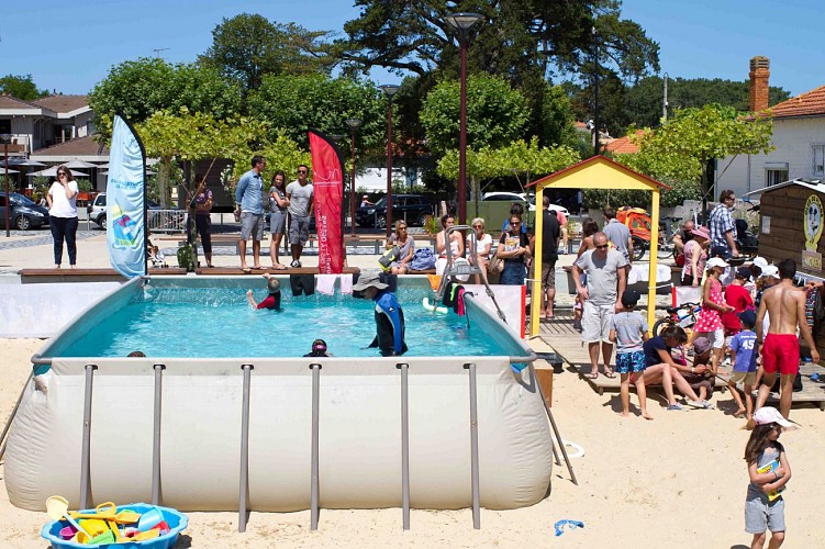 Journal-Mickey-Piscine