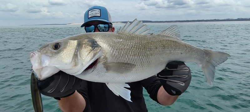 thumbnail_IMG_20230608_133209