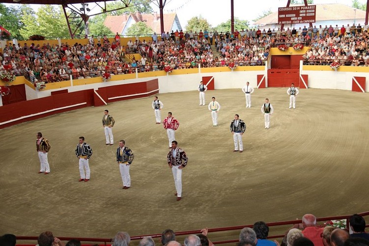 Arènes et course Pomarez